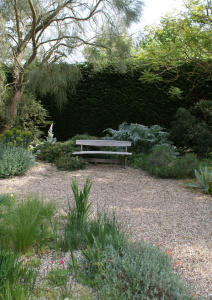 Bench in gravel garden at Beth Chatto Gardens