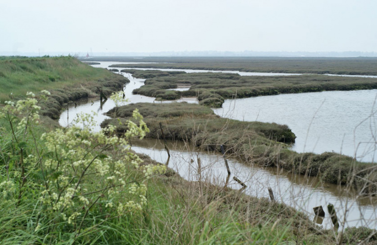 The Naze Beach3 768x499