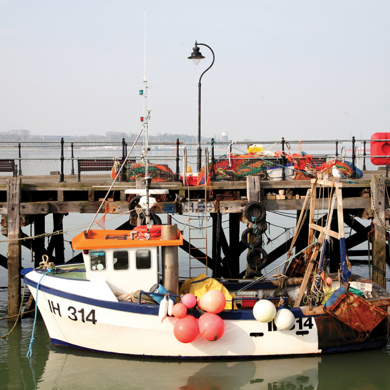 HaPenny Pier Boat 768x768