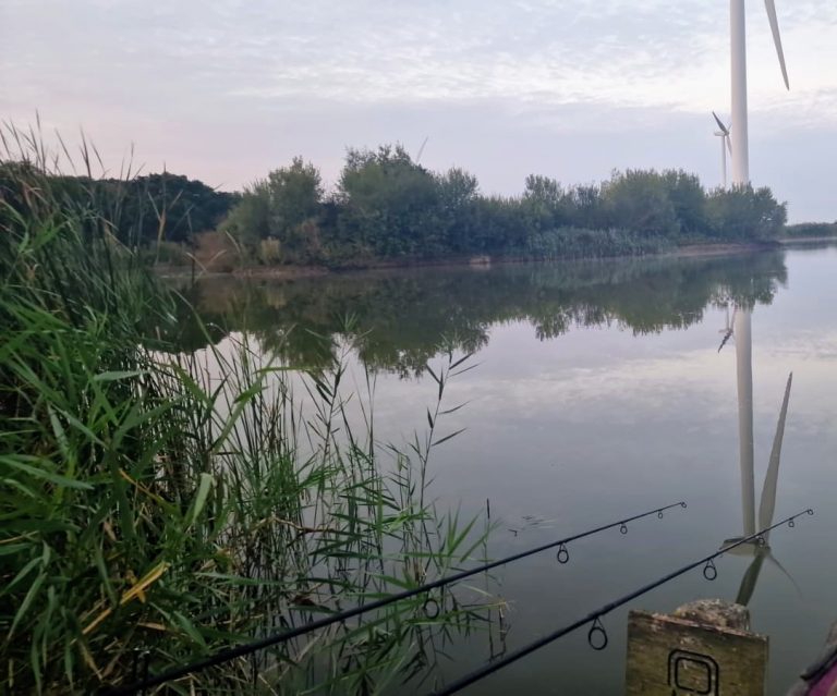 Earls Hall Fisheries Clacton 768x639