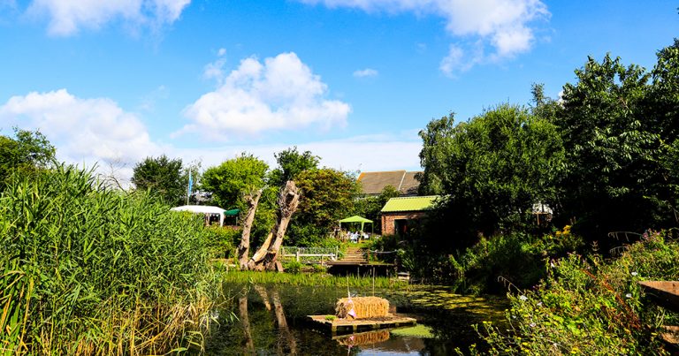 bobbits hole 768x403