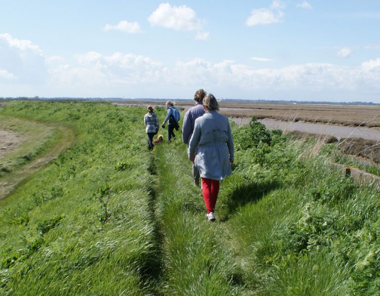 wildlife walk 768x600