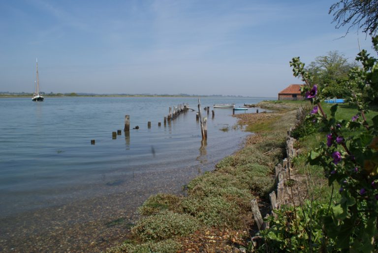 BeauCMze QuaycTPAC15 768x514