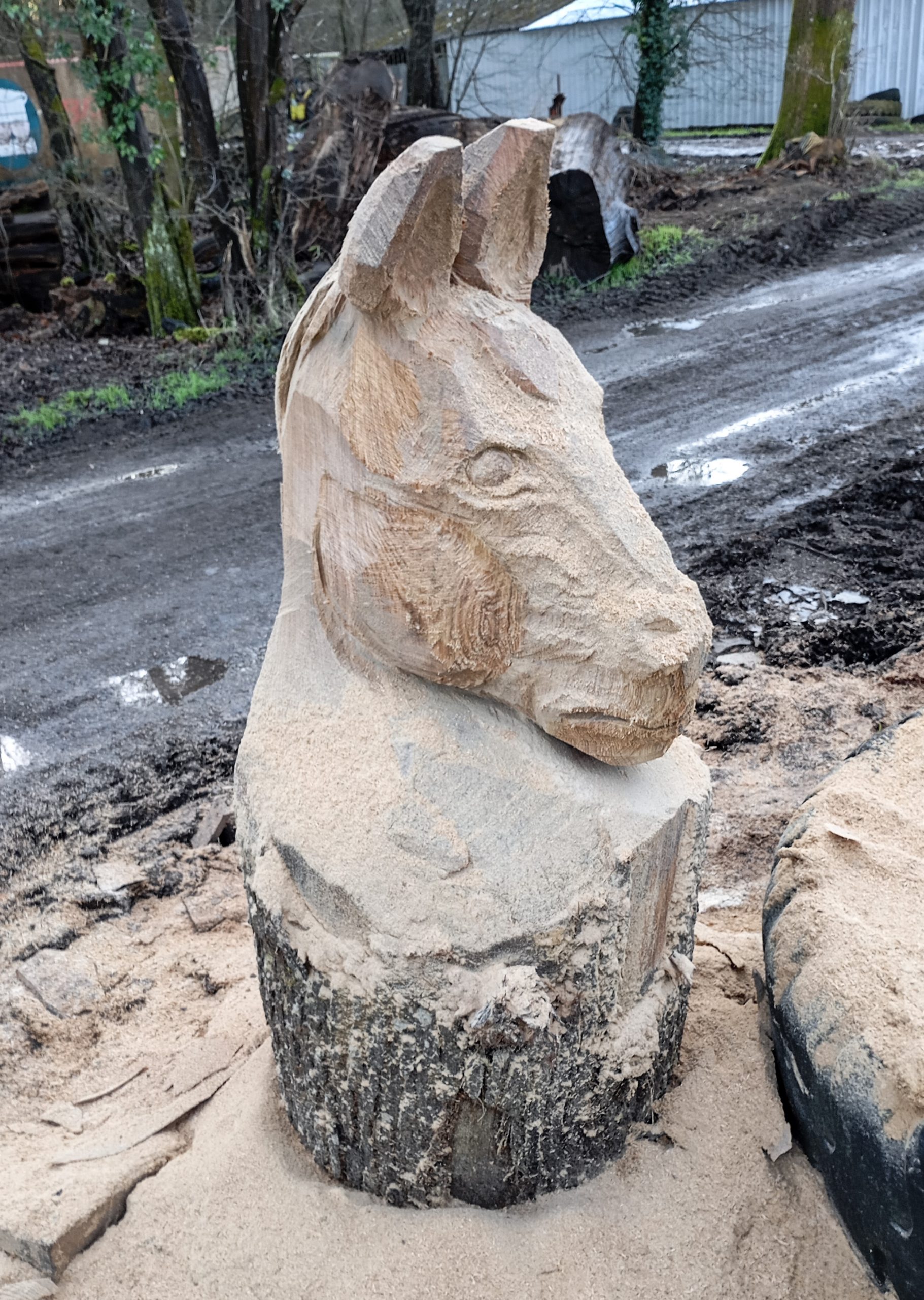 Donkey Carving for the Tendring Witch Heritage Trail - Credit Alasdair Craig