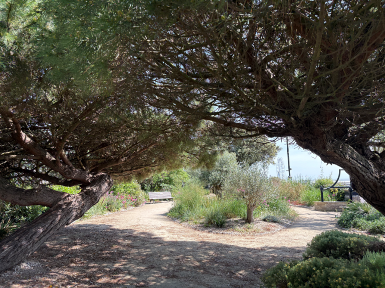 Mediterranean Garden 9 TDC AG May 2025 768x576