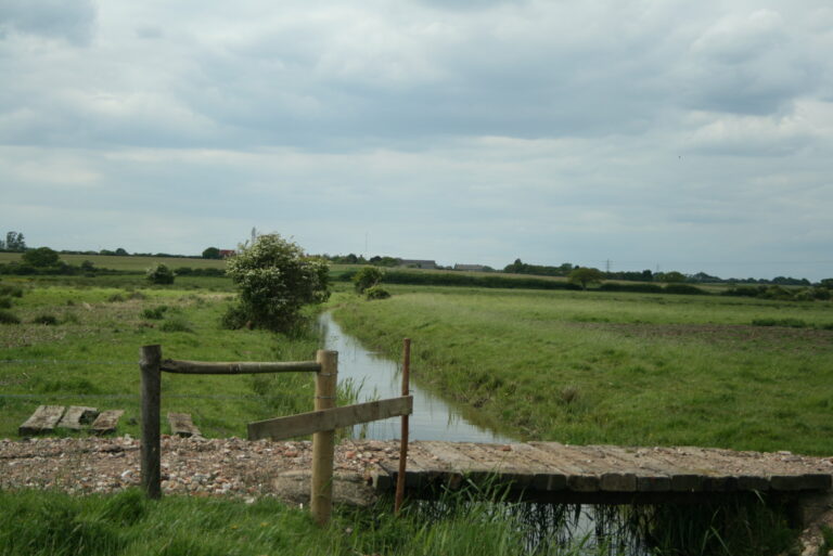 Holland MArshes 768x513
