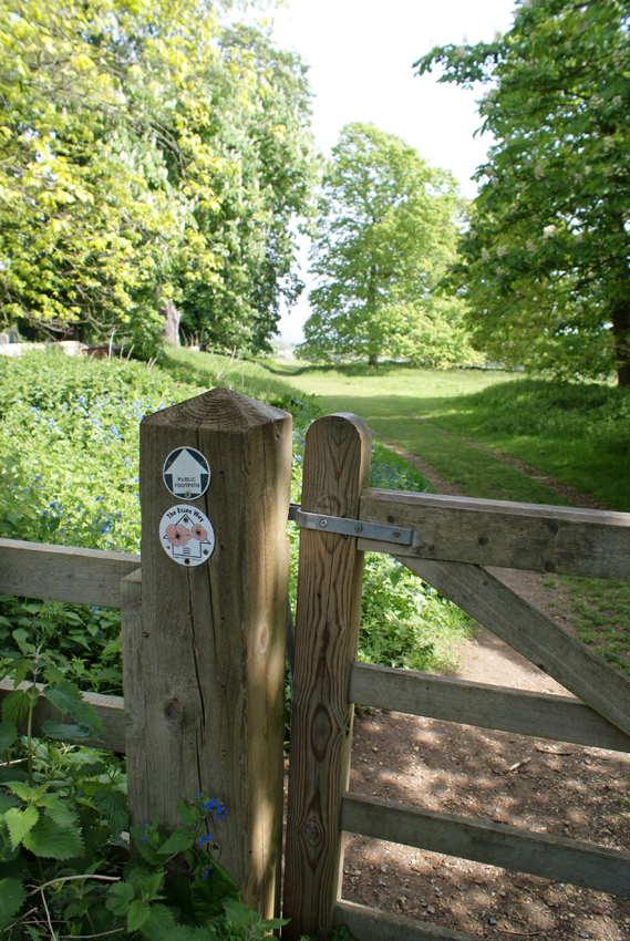 Lawfd ChurchcTPAC8 1