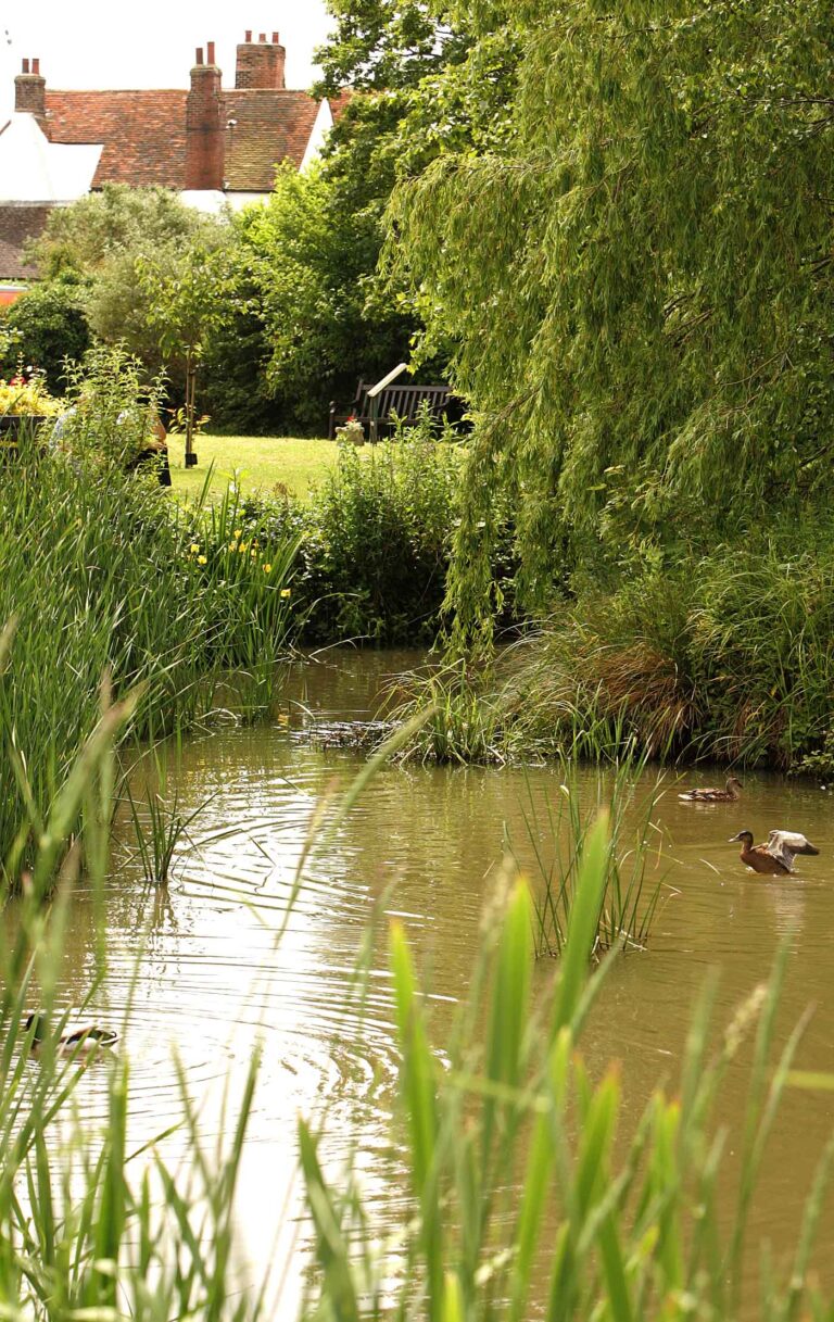 Weeley Pond 768x1217