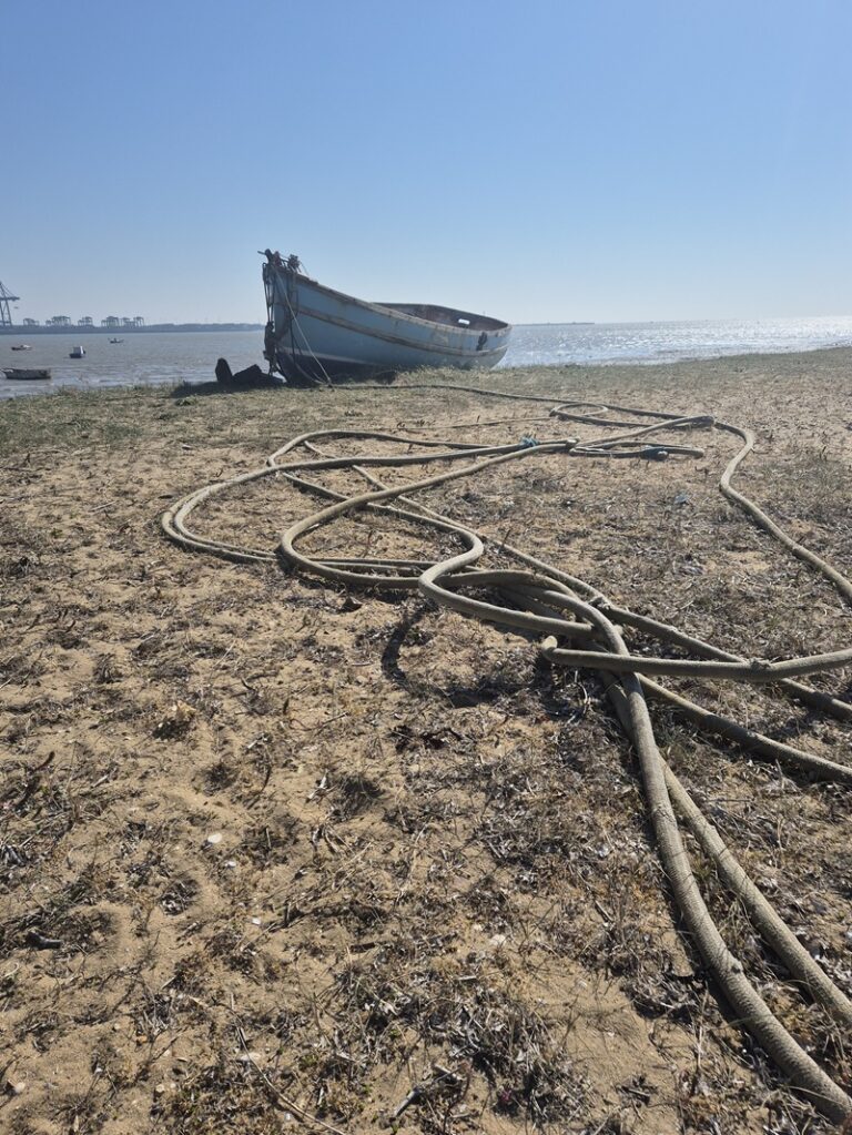 Boat Rope Harwich Beach TDC SD April 2025 WEB 768x1023